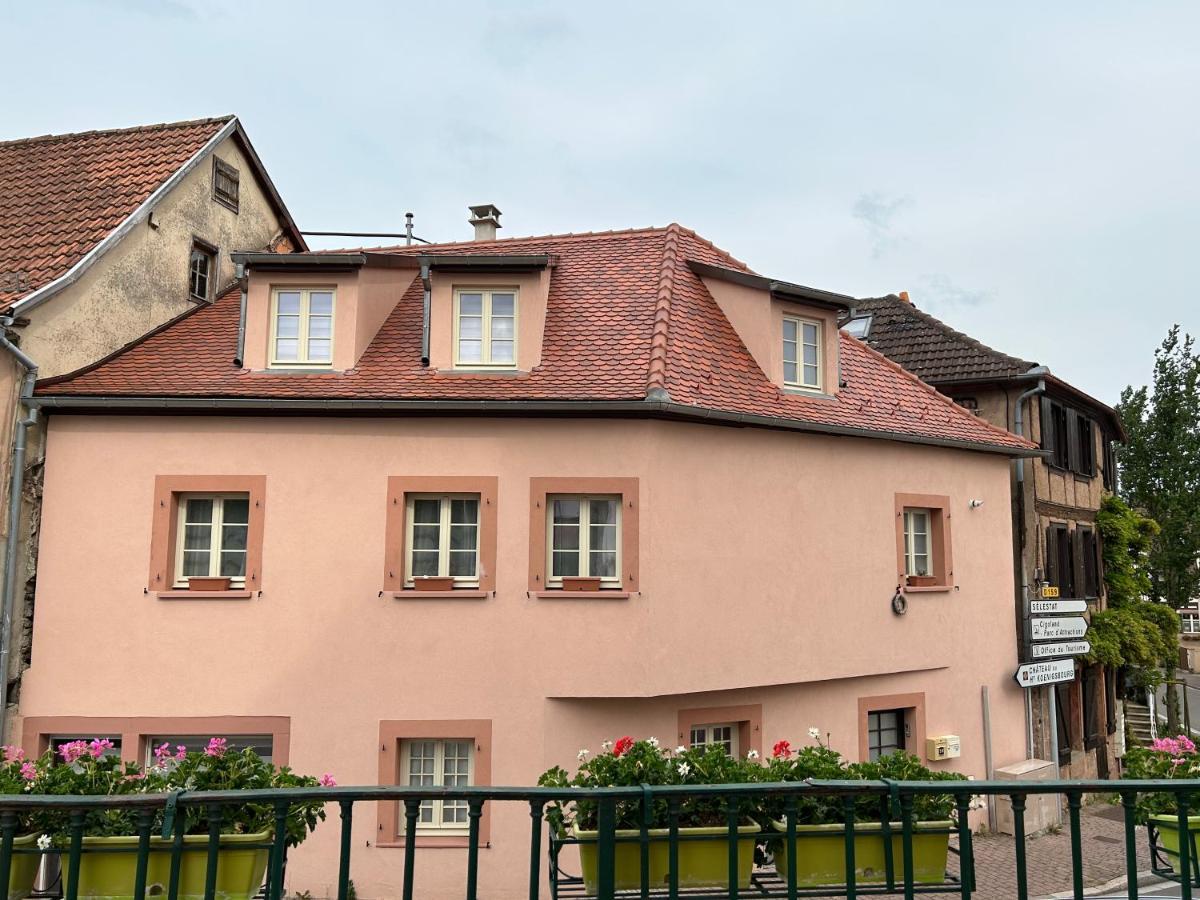 Gite Ma Maison Kintzheim Exteriör bild